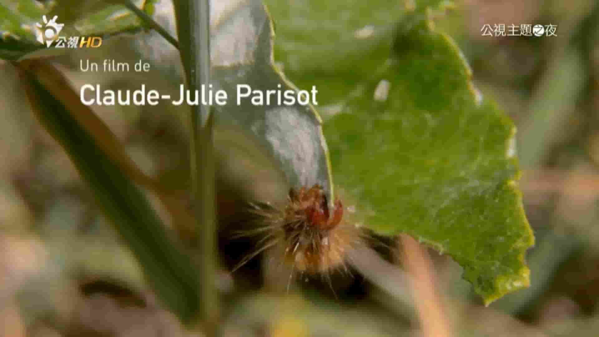 法国纪录片《虫虫刺客任务 Insects to the Rescue! 2016》全1集 国语中字 1080P高清网盘下载