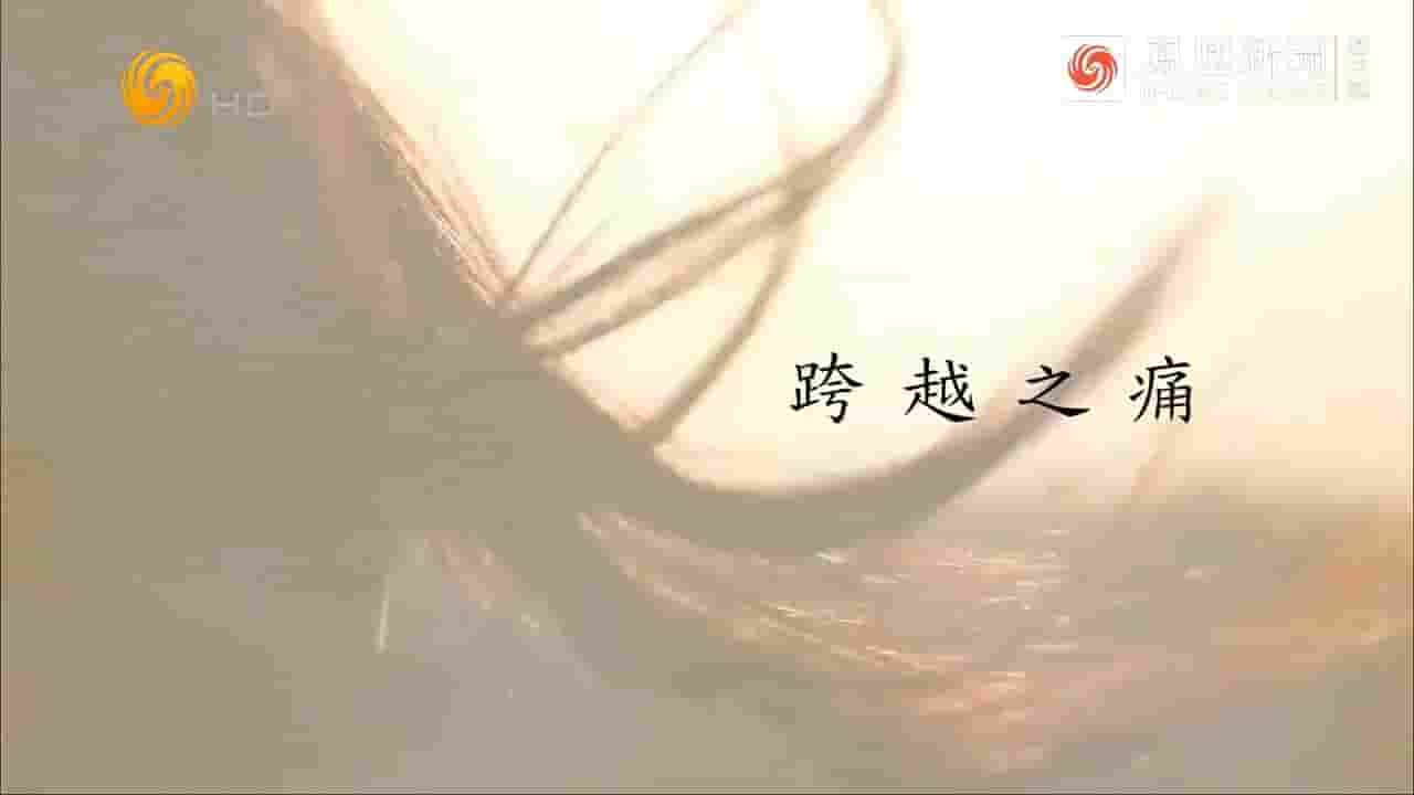 凤凰新闻《跨越之痛 2023》全1集 国语中字 720P高清网盘下载