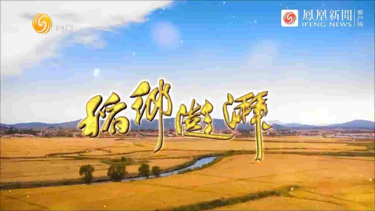 纪录大时代《稻乡澎湃 2023》全4集 国语中字 720P高清网盘下载