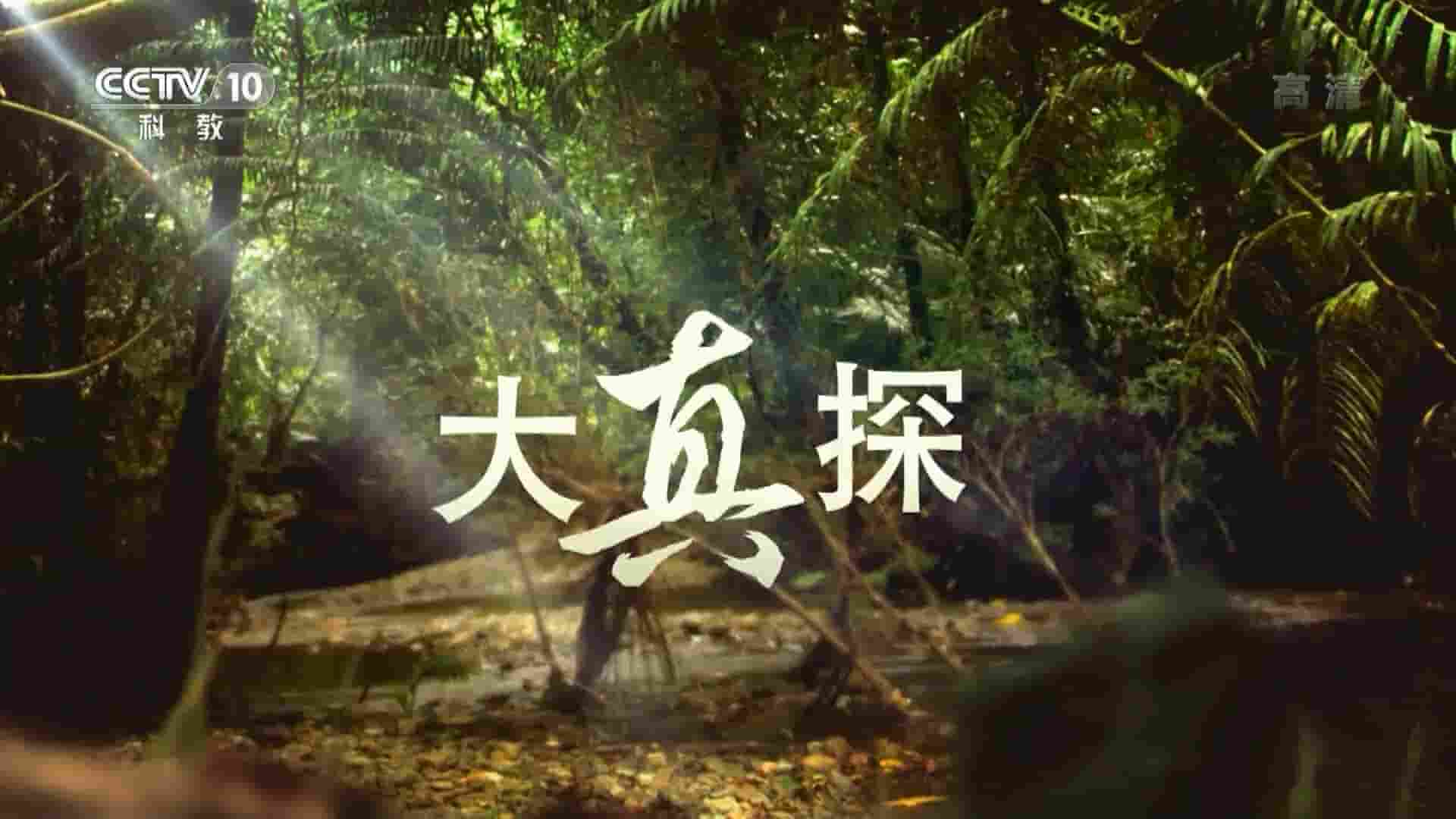 央视记录片《野外求生指南之征服荒岛》全8集 国语中字 1080P高清网盘下载