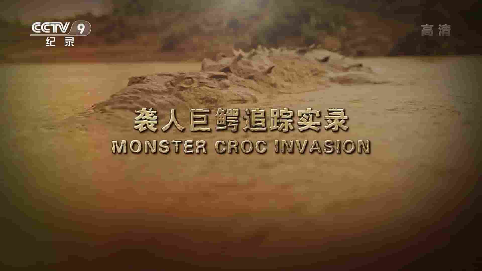 动物星球频道《袭人巨鳄追踪实录 Monster Croc Invasion 2015》全1集 国语中字 1080i高清网盘