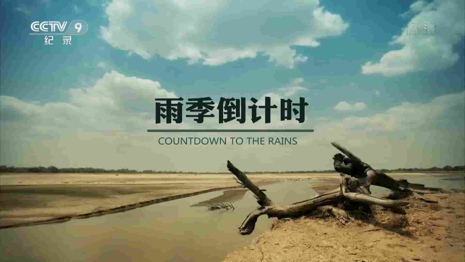央视改版/BBC纪录片《雨季倒计时 Countdown to the Rains 2013》全3集 国语中字 720P高清网盘