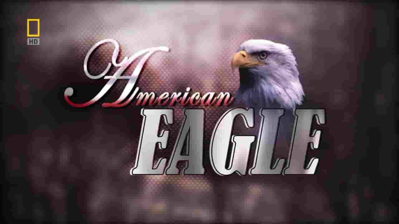 国家地理《美国国鸟：白头海雕传奇 American Eagle 2008》全1集 英语中字 720P高清网盘