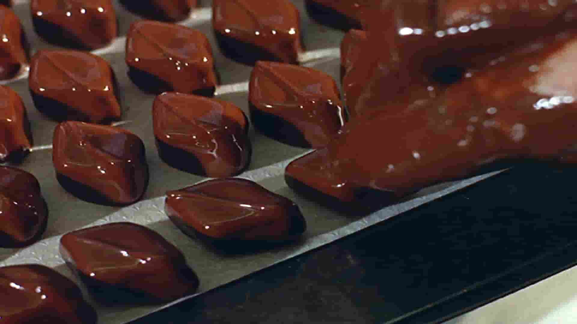 加拿大纪录片《蜜糖谎言/糖衣 Sugar Coated 2015》全1集 英语中字 1080P高清网盘