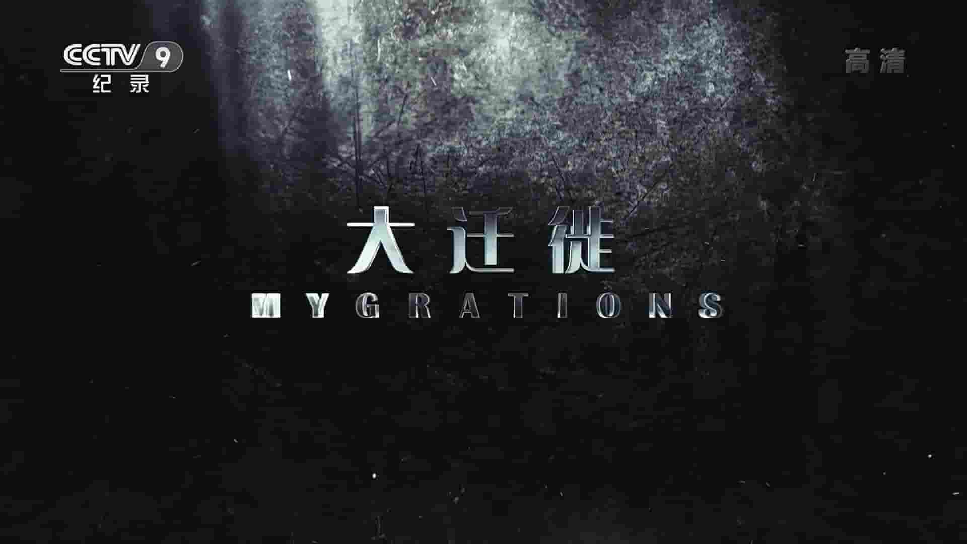 央视改版/国家地理《挑战大迁徙 Mygrations 2016》第1季全6集 国语中字 1080i高清网盘