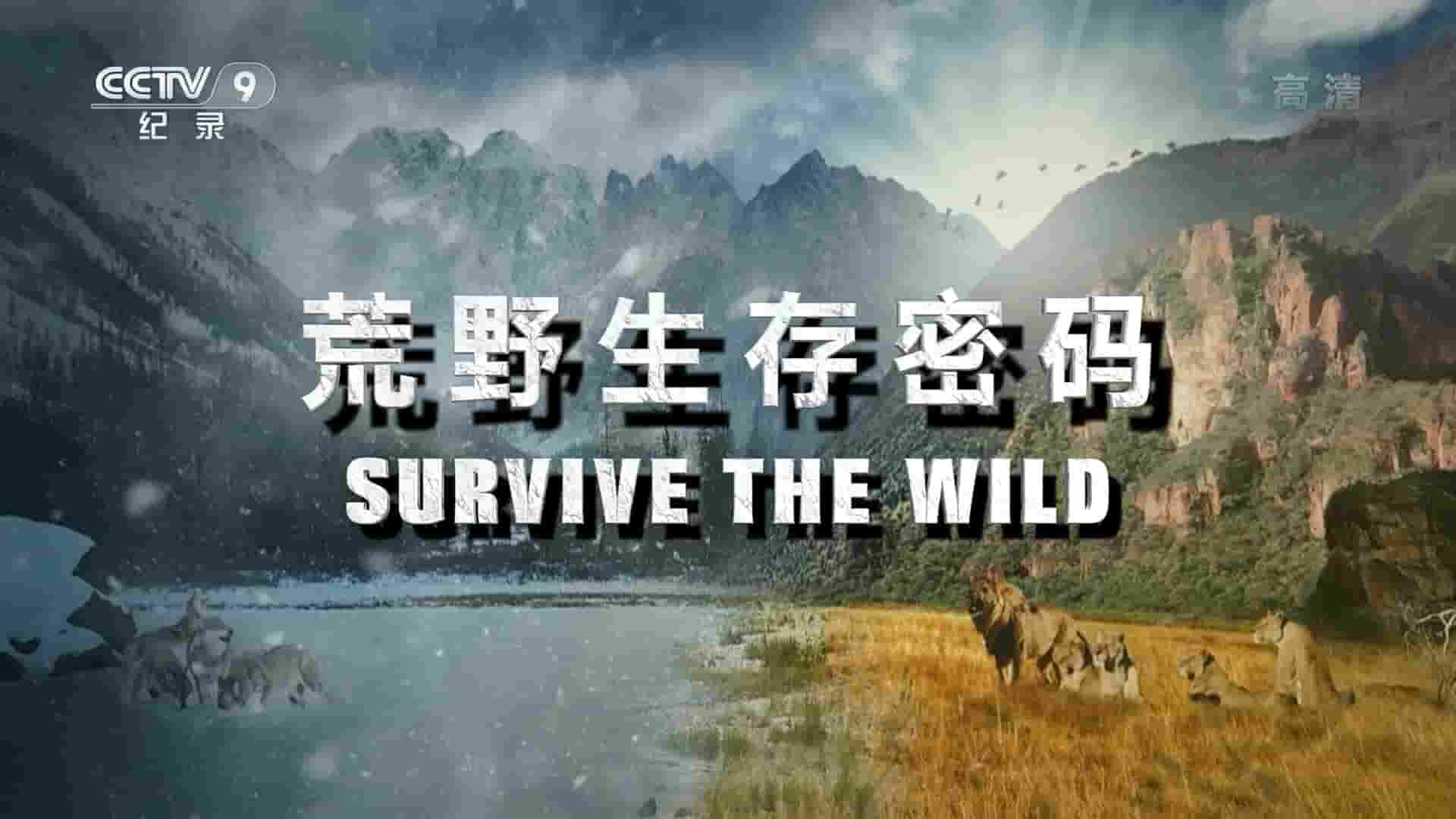 央视改版/国家地理《荒野生存密码 Survive the Wild 2016》全6集 国语中字 1080i高清网盘