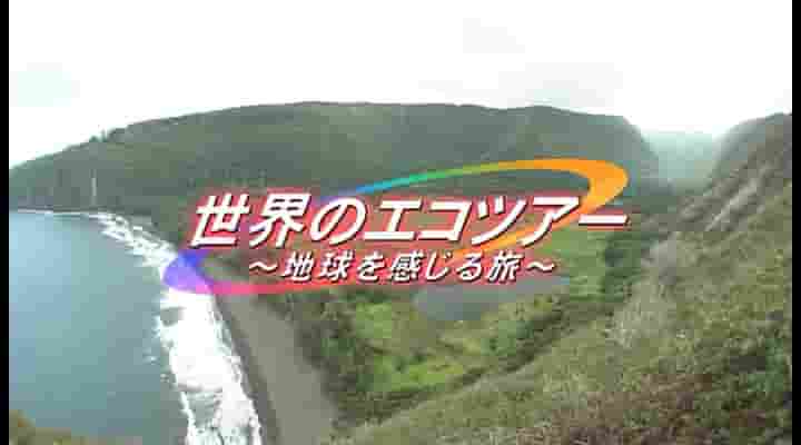 NHK纪录片《世界生态旅游 感受地球之旅 World Ecotourism 2010》共8集 日语中字 标清网盘