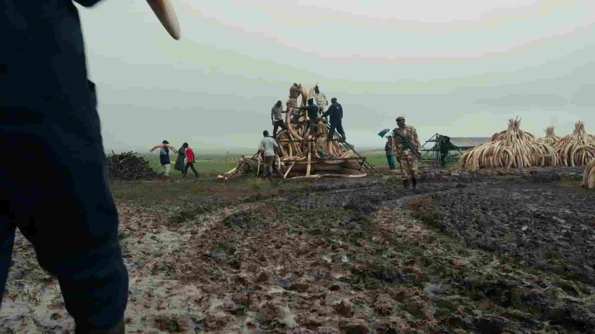 加拿大纪录片《人类纪：谁主地球 Anthropocene: The Human Epoch 2018》全1集 英语内嵌中英双字 1080P高清网盘