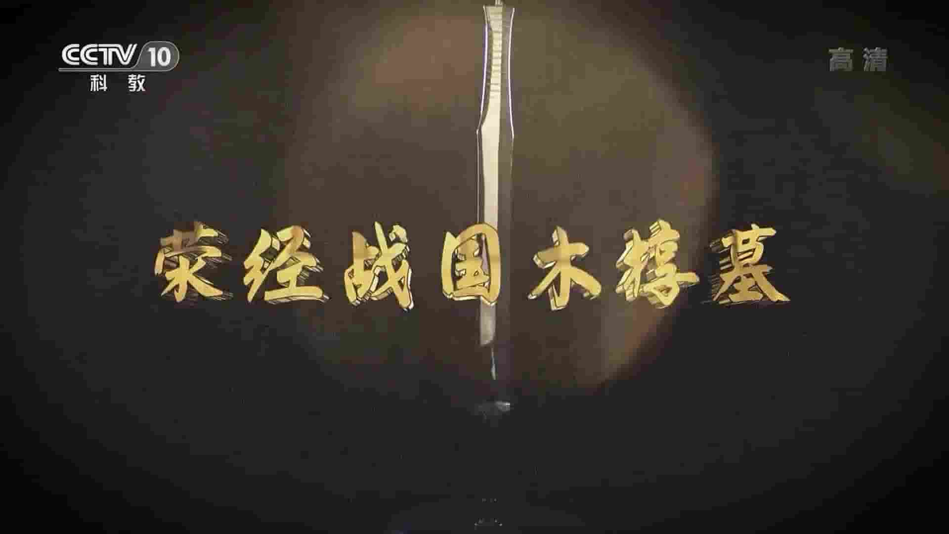  央视考古纪录片《荥经战国木椁墓 2021》全1集 国语中字 1080P高清网盘