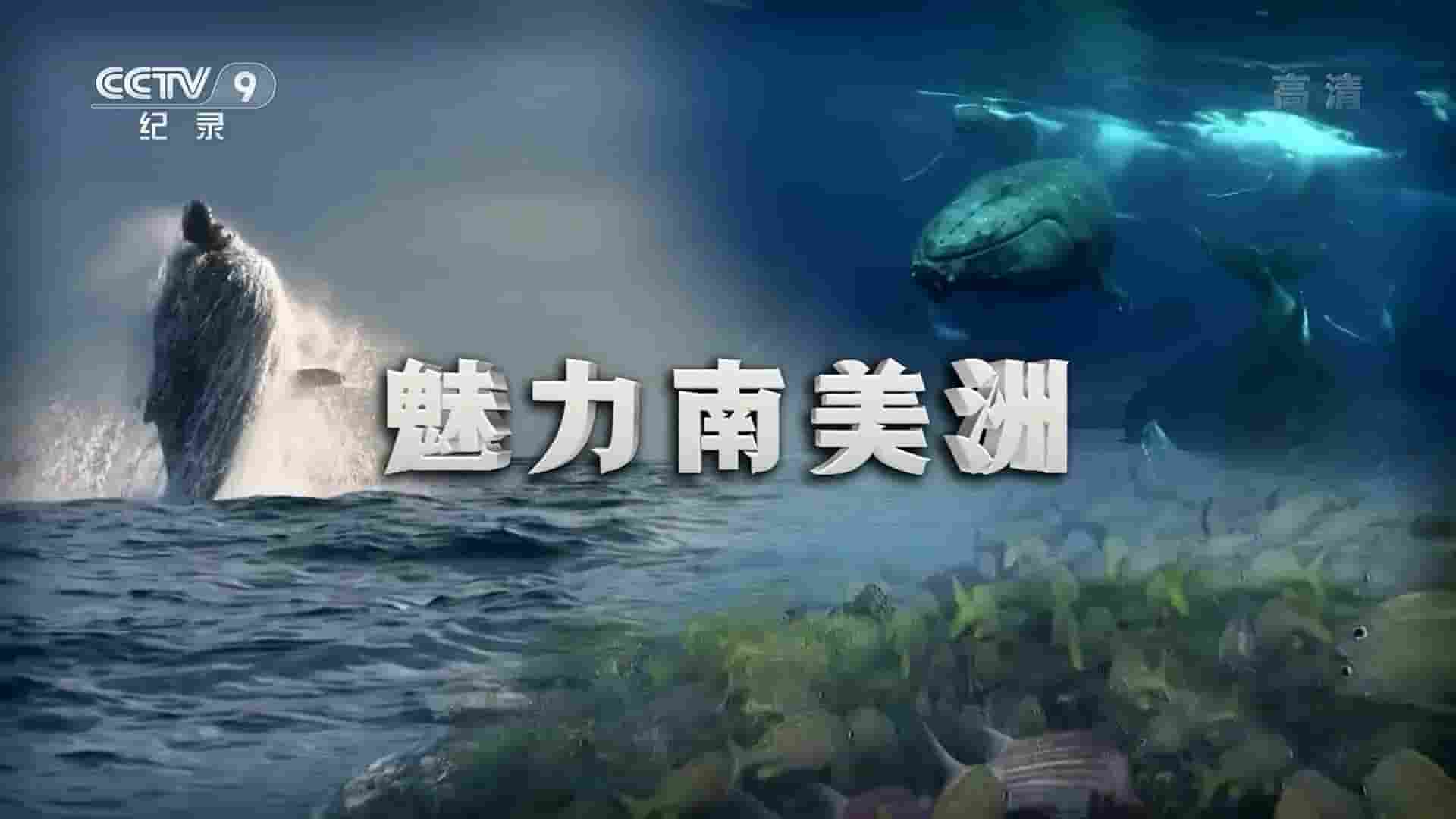 央视纪录片《魅力南美洲/野性拉丁美洲 Wild Latin America 2018》全3集 国语中字 1080i高清网盘