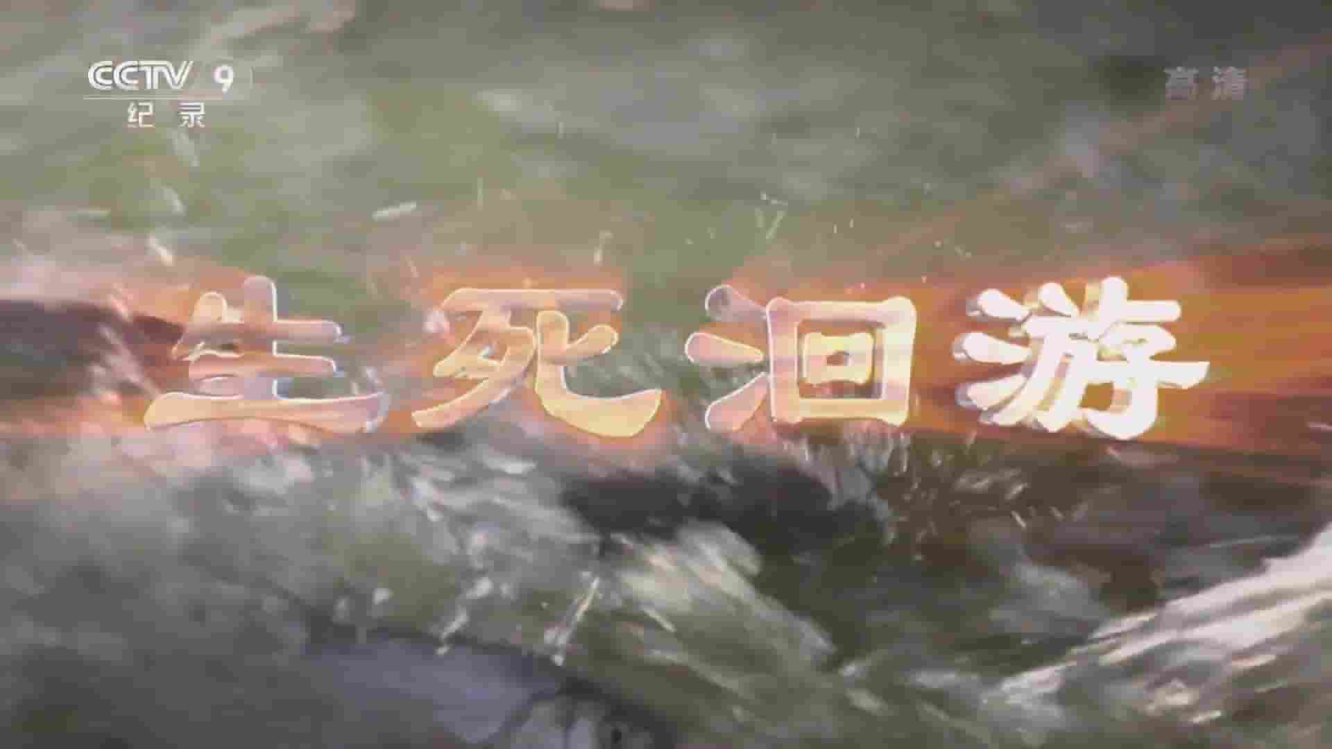 央视纪录片《生死洄游 2017》全1集 国语中字 1080P高清网盘