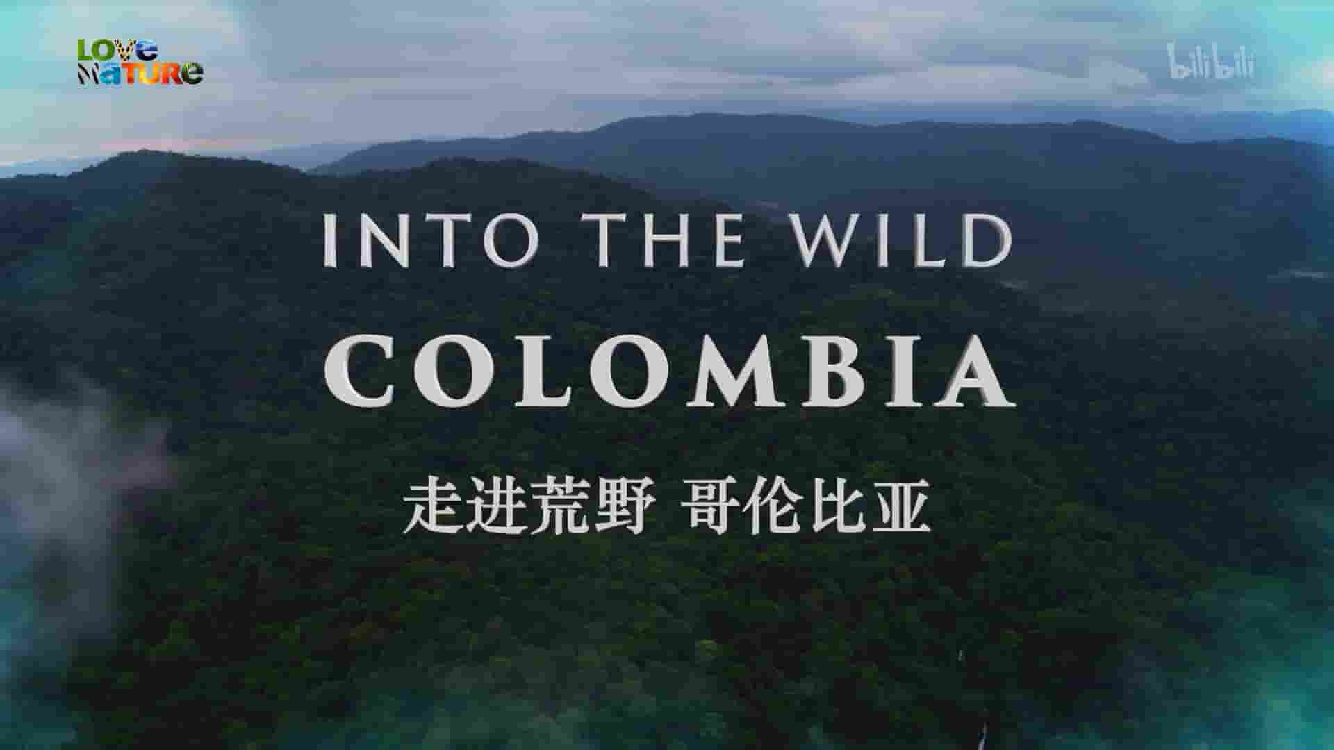 史密森尼频道《走进野外：哥伦比亚 Into the Wild: Colombia 2018》第1季全5集 英语中英双字 1080P高清网盘