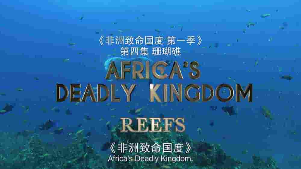 国家地理《非洲致命国度 Africa