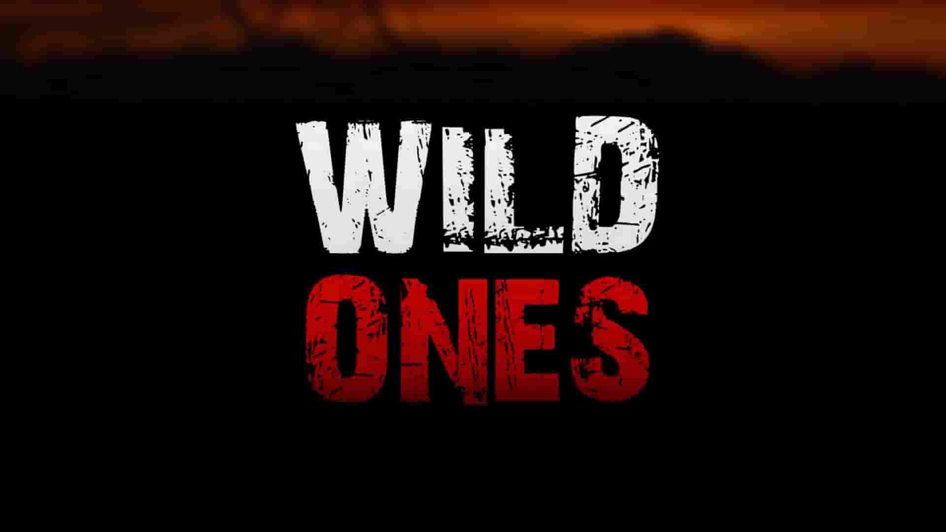 捷克纪录片《野生世界 Wild Ones 2014》全13集 英语中英双字 1080P高清网盘