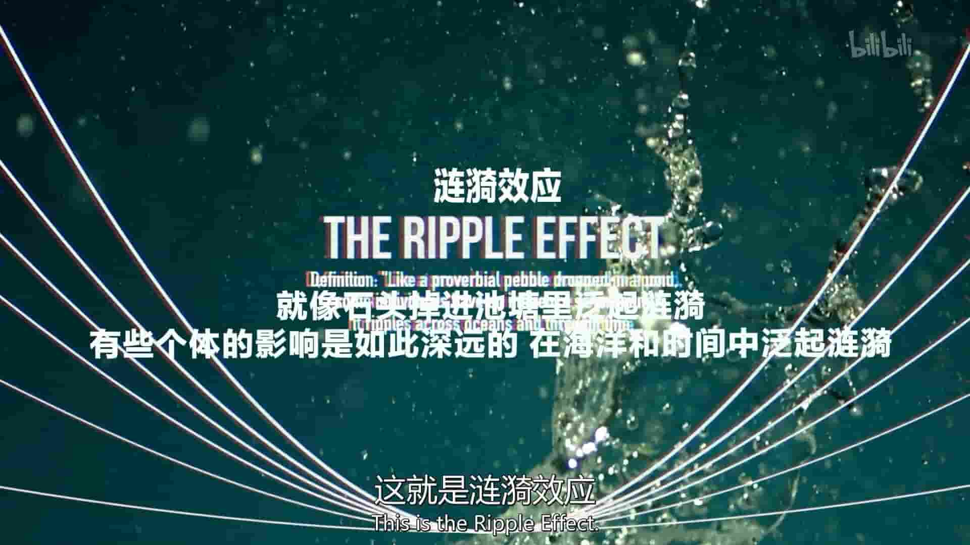 美国纪录片《涟漪效应 The Ripple Effect 2016》全6集 英语中英双字 1080P高清网盘
