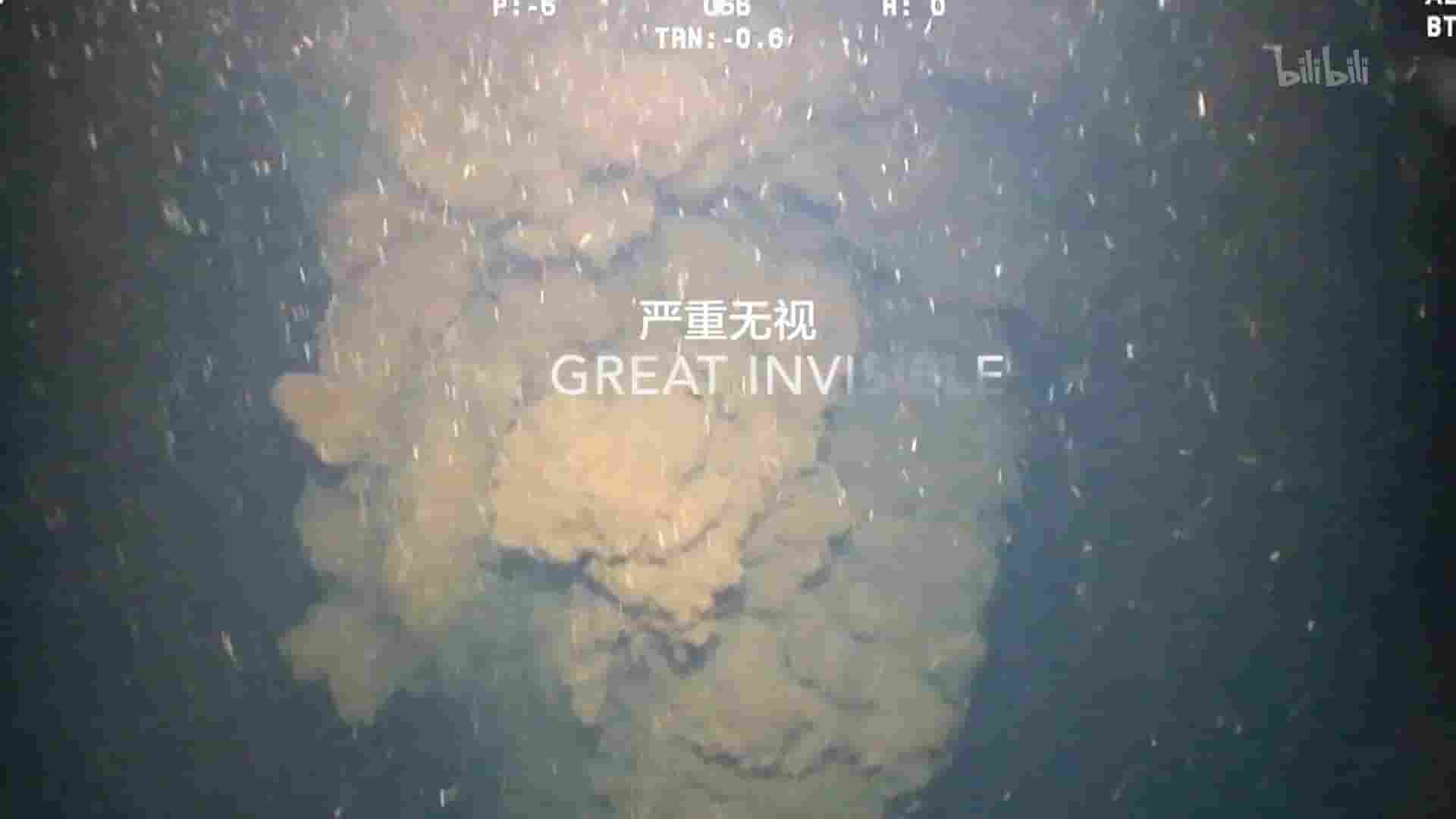 美国纪录片《严重无视 The Great Invisible 2014》全1集 英语中英双字 1080P高清网盘