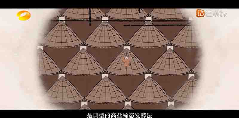 国产纪录片《酱油是什么 2024》全8集 国语中字 4K超高清网盘