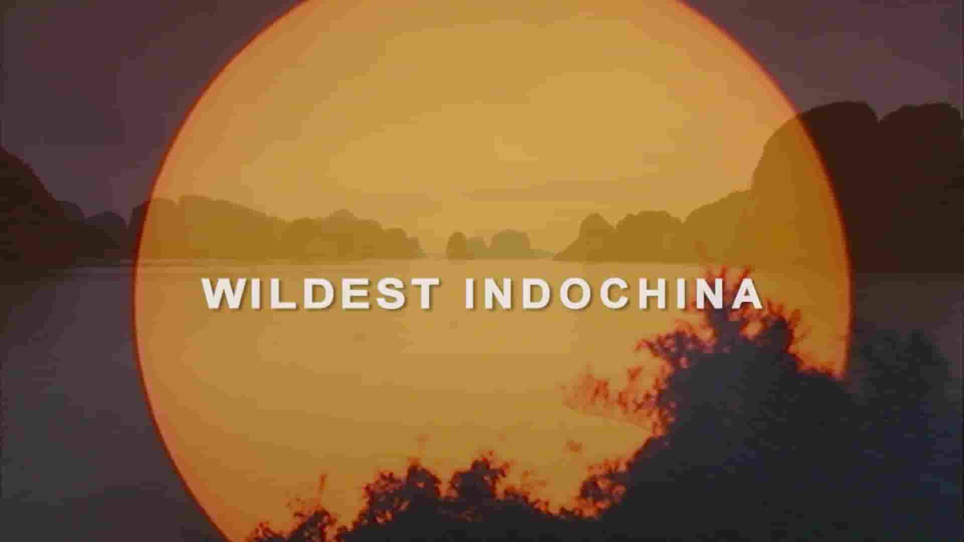 美国纪录片《狂野中南半岛 Wildest Indochina 2014》全5集 英语中英双字 1080P高清网盘