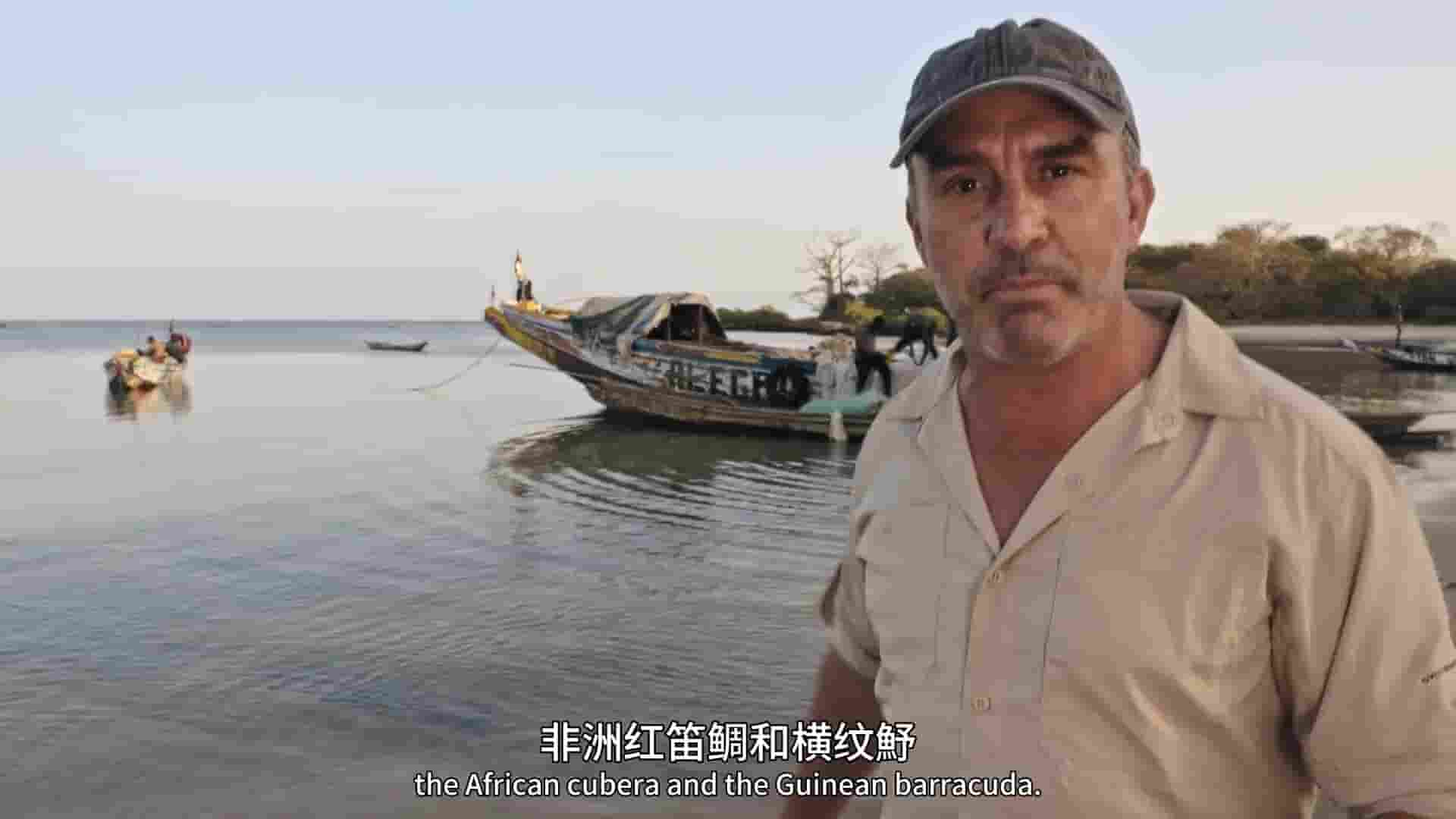 国家地理《追踪巨型鱼 Last of the Giants 2025》第3季全8集 中英双语中字 1080P高清网盘