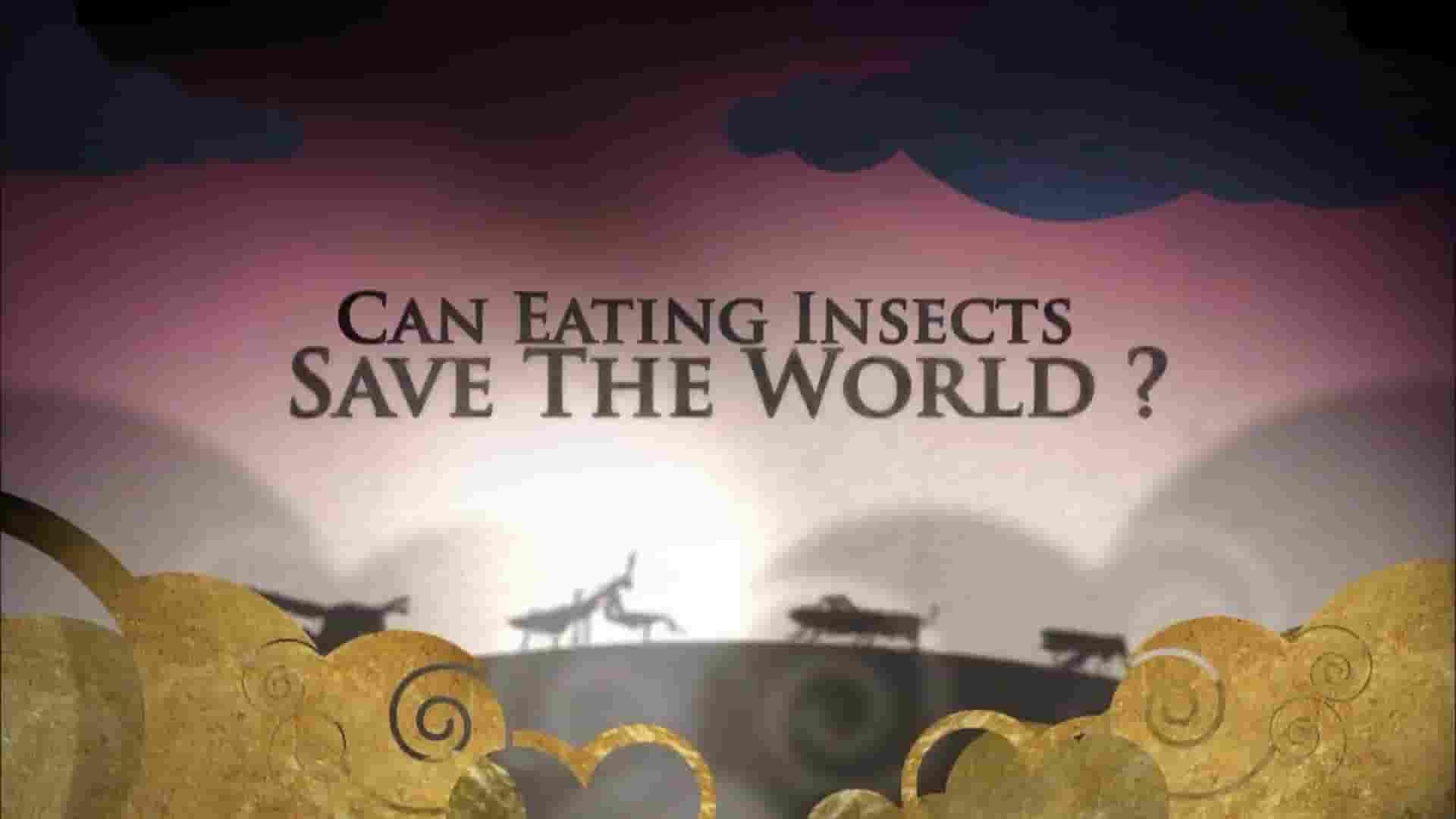 BBC纪录片《吃昆虫能拯救世界吗？Can Eating Insects Save the World? 2013》全1集 英语中字 1080P高清网盘