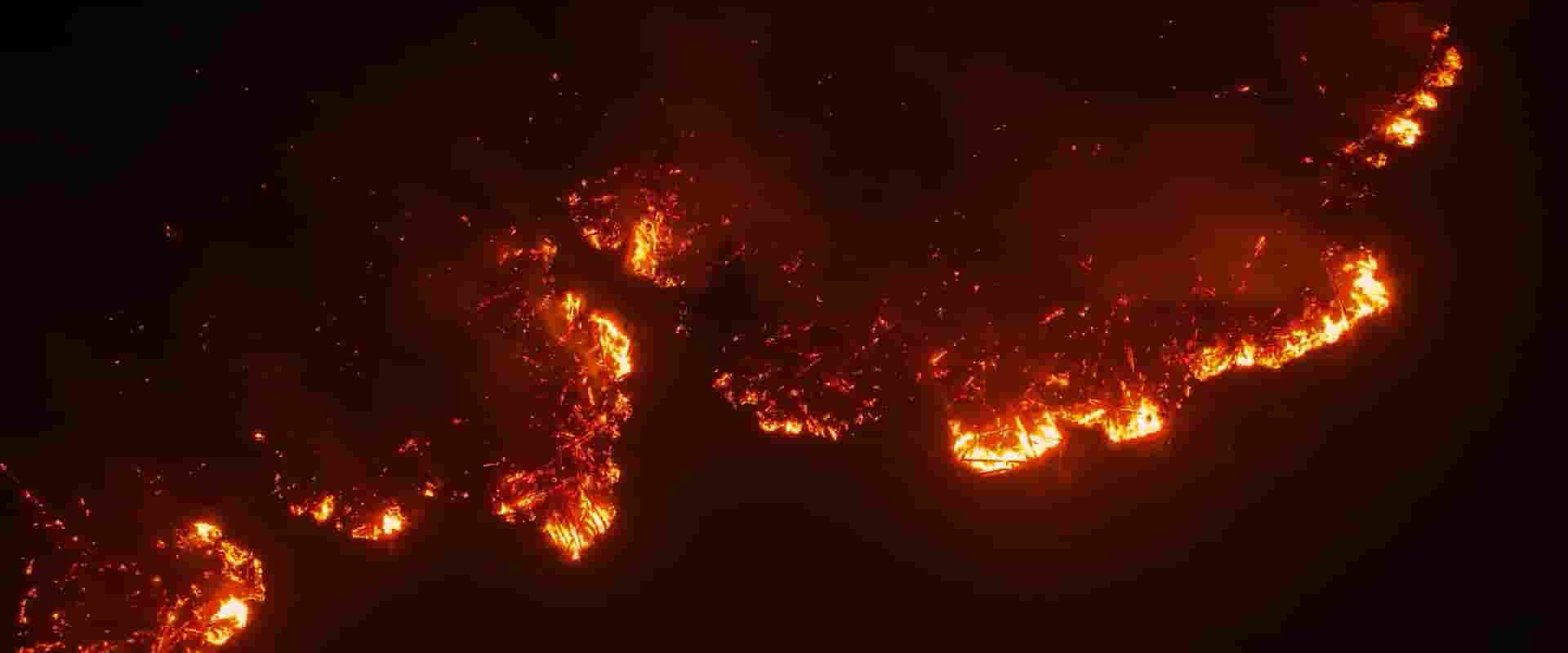 加拿大纪录片《炽热 Incandescence 2024》全1集 英语中英双字 1080P高清网盘