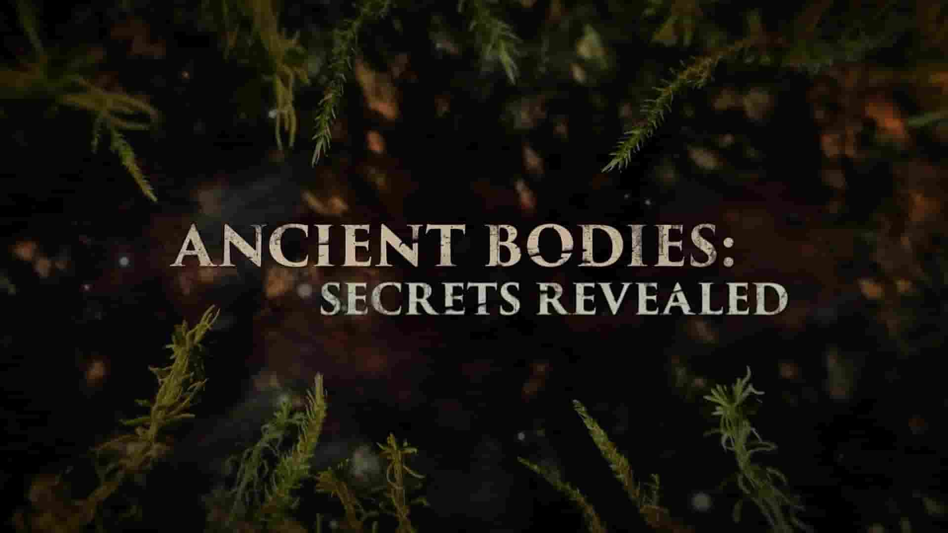 国家地理《古尸揭秘：解开谜团 Ancient Bodies: Secrets Revealed 2024》第1季全7集 英语中英双字 1080P高清网盘