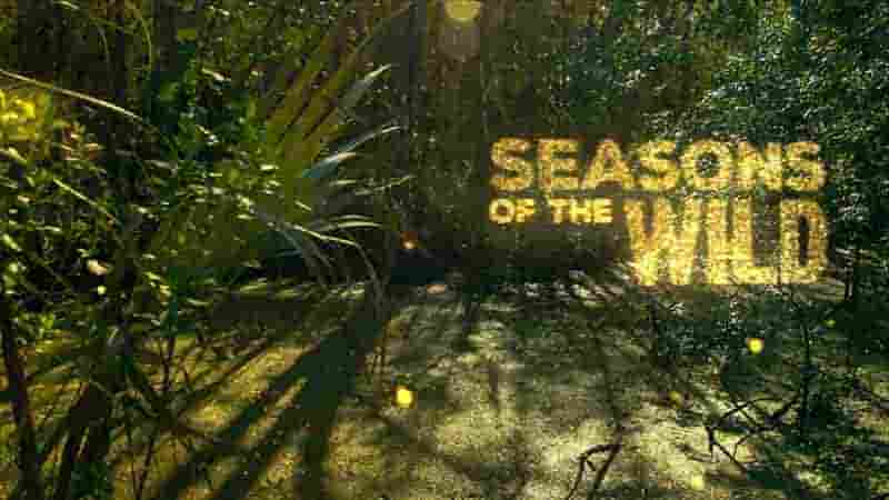 加拿大纪录片《荒野四季 Seasons of the Wild 2015》全2集 英语中英双字 1080P高清网盘