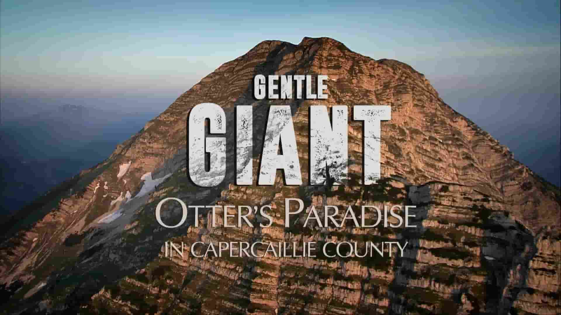 美国纪录片《温柔的巨人 Gentle Giant 2018》全1集 英语中英双字 1080P高清网盘