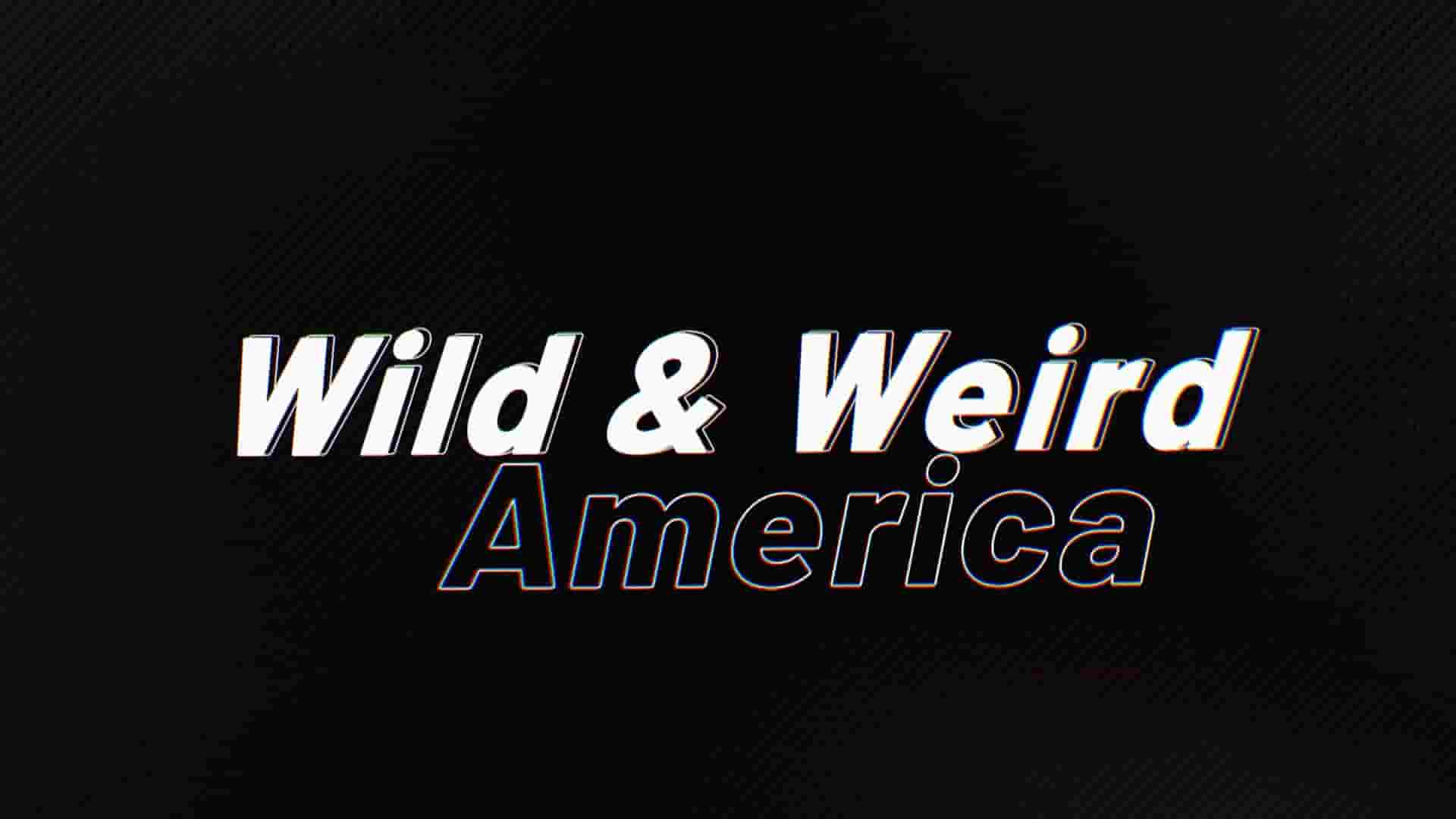 美国纪录片《美国见怪不怪 Wild & Weird America 2024》第1季全12集 英语中英双字 1080P高清网盘