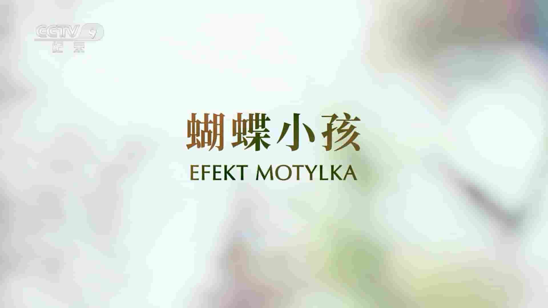 央视纪录片《蝴蝶小孩 Efekt motylka 2020》全1集 波兰语中字 1080P高清网盘
