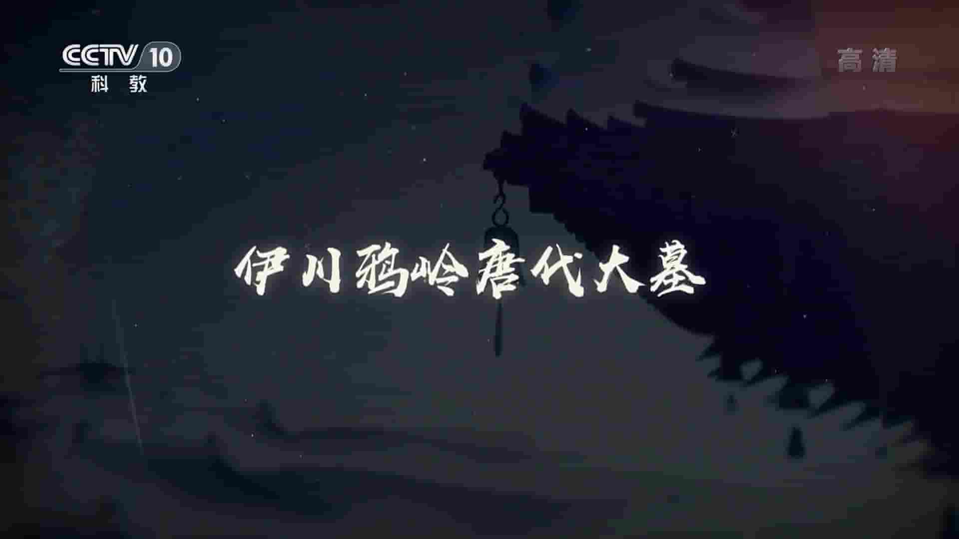 央视探索发现《伊川鸦岭唐代大墓 2022》全1集 国语中字 1080P高清网盘