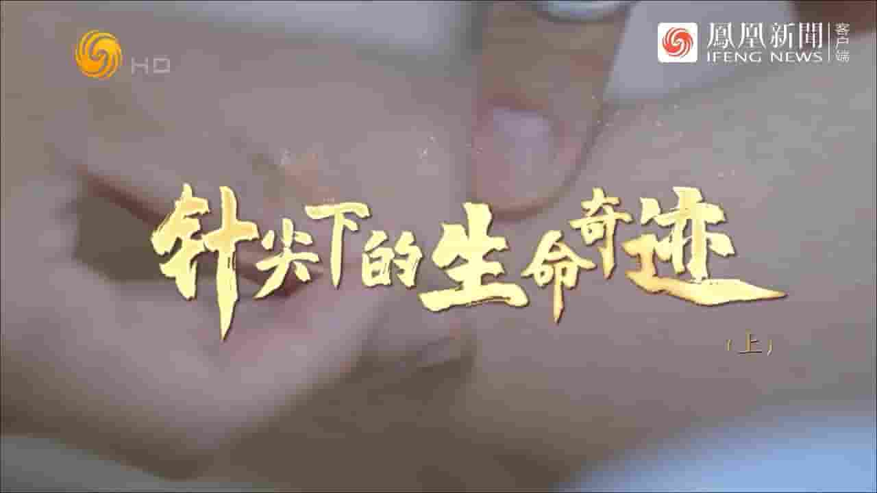 纪录大时代《针尖下的生命奇迹 2022》全2集 国语中字 720P高清网盘