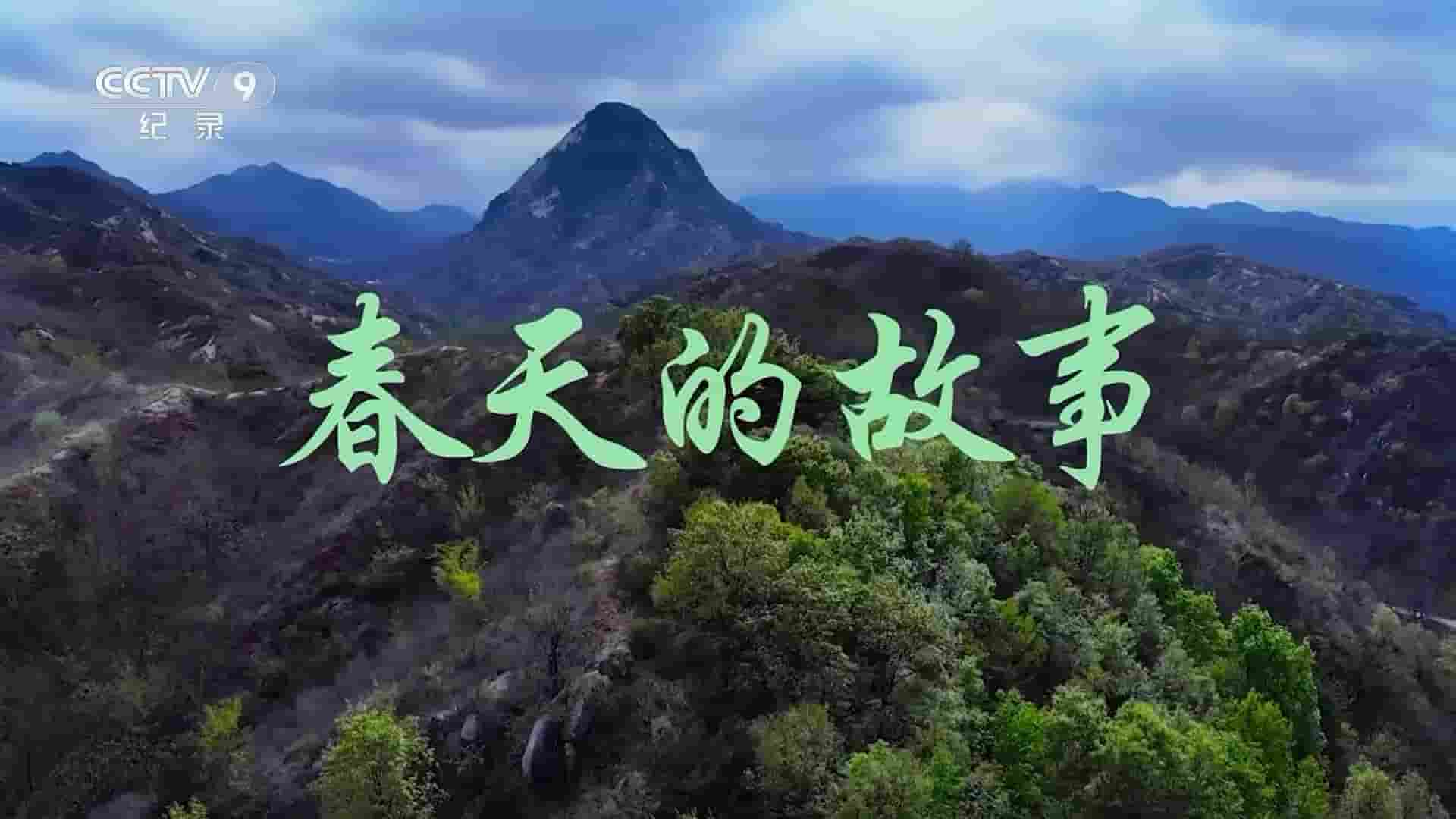 央视纪录片《春天的故事 2023》全10集 国语中字 1080P高清网盘