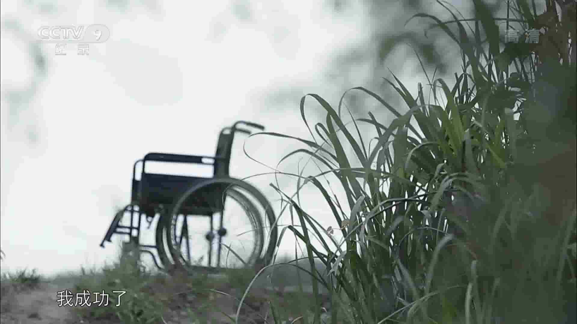 央视纪录片《活力中国·两个人的舞蹈 2016》全2集 国语中字 1080P高清网盘