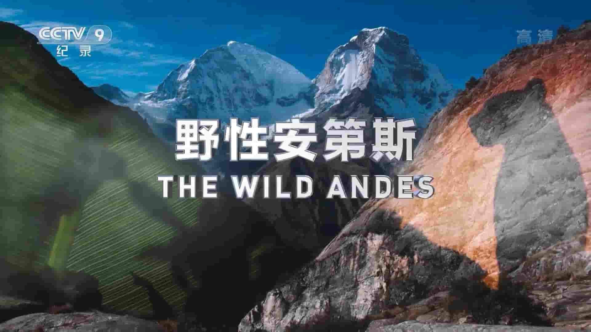 央视纪录片《野性安第斯 The Wild Andes 2020》全3集 国语中字1080P高清网盘
