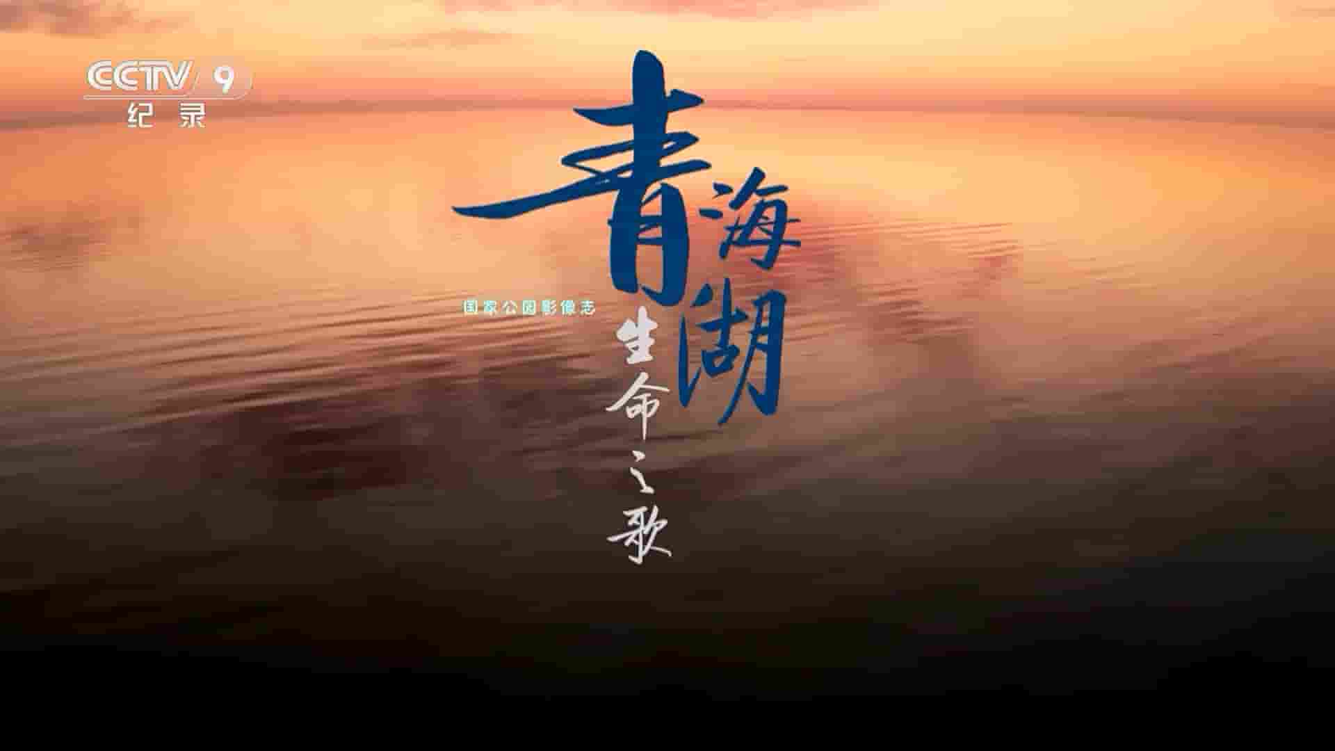 央视纪录片《青海湖生命之歌 2023》全1集 国语中字 1080P高清纪录片