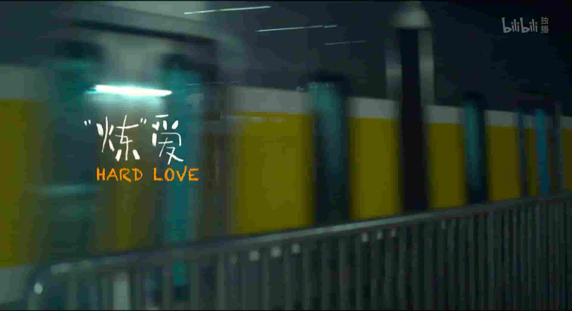 国产纪录片《“炼”爱 Hard Love 2021》全1集 国语中字 1080P高清网盘