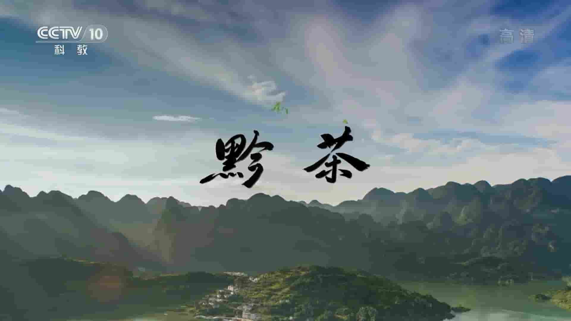 央视纪录片《黔茶/黔茶密码 2019》全3集 国语中字 720P高清网盘