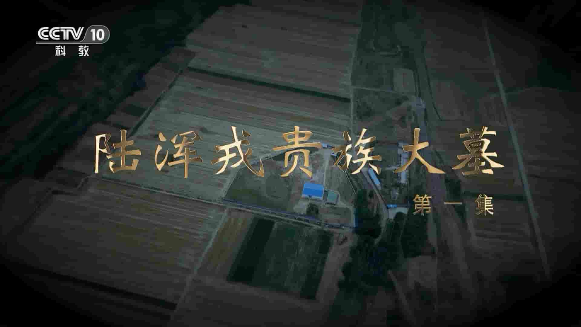 央视探索发现《陆浑戎贵族大墓 2023》全4集 国语中字 1080P高清网盘