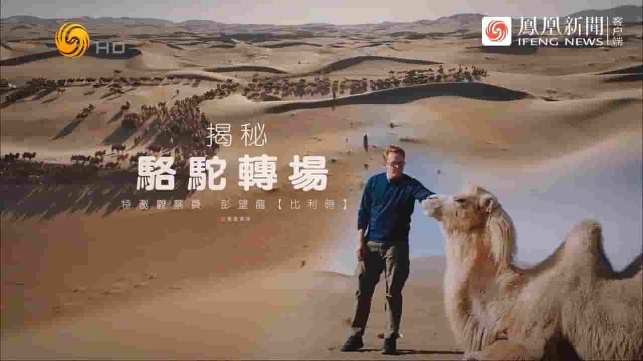 近观中国《揭秘骆驼转场 2024》全1集 国语内嵌中英双字 720P高清网盘