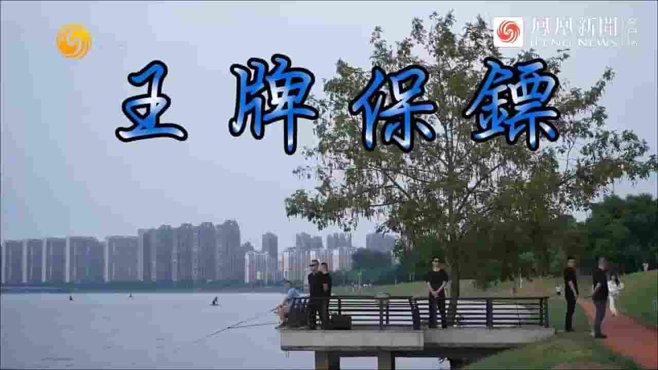 冷暖人生《菲律宾绑架案 利比亚撤侨背后的王牌保镖 2024》全1集 国语中字 720P高清网盘