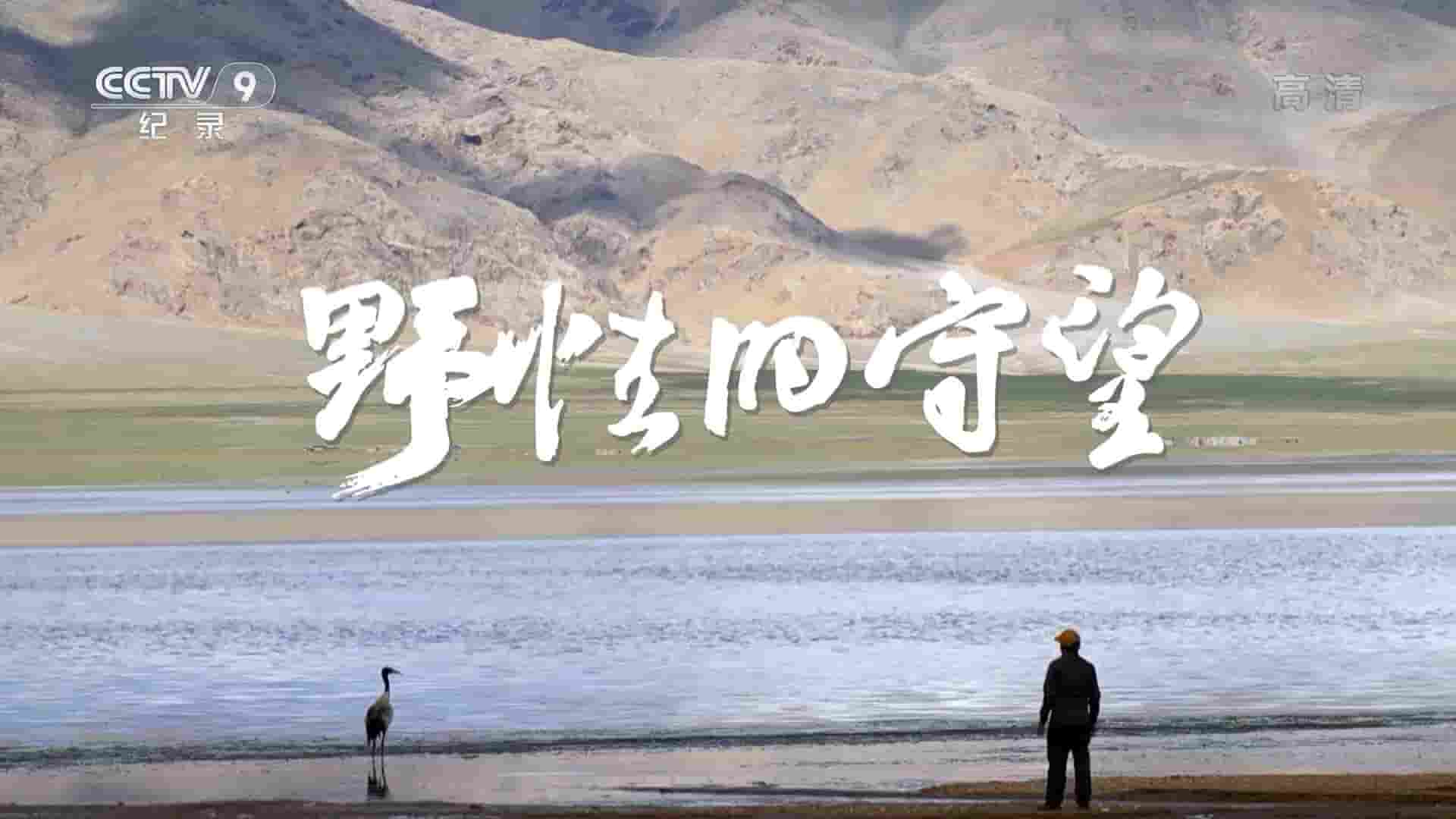 央视纪录片《野性的守望 2022》全7集 国语中字 1080P高清网盘