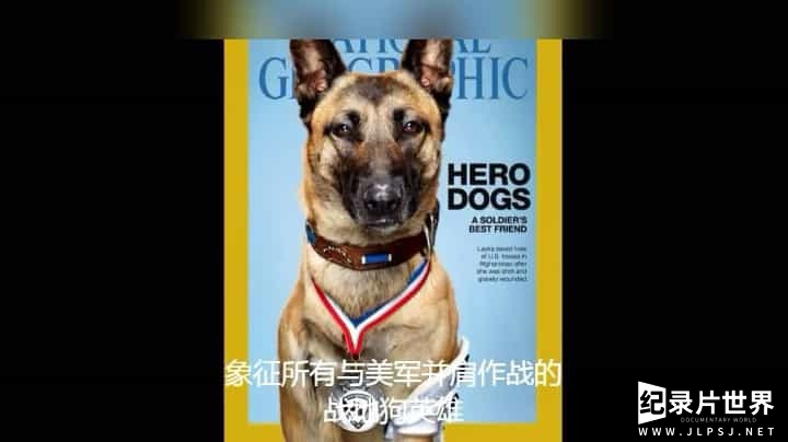 纪录片  军犬：士兵最好的朋友-0050