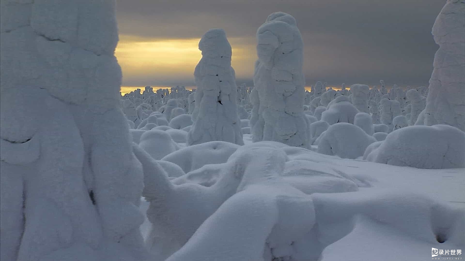 BBC经典纪录片《冰冻星球 Frozen Planet 2011》全8集 07