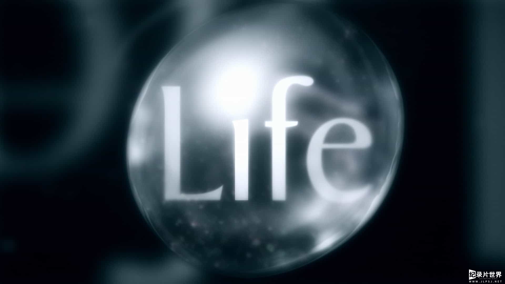 BBC《生命 Life》全10集 英语中字01