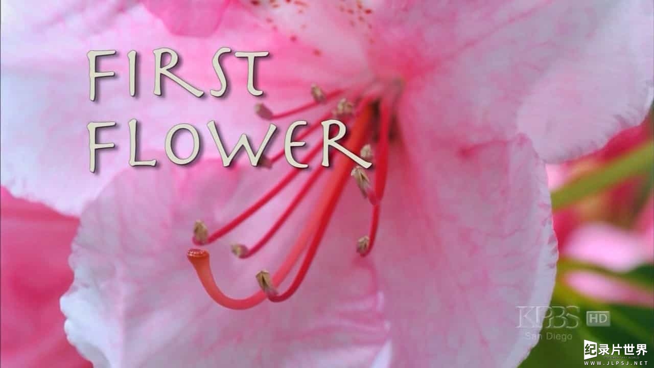 PBS纪录片《第一朵花 First Flower 2007》英语无字 