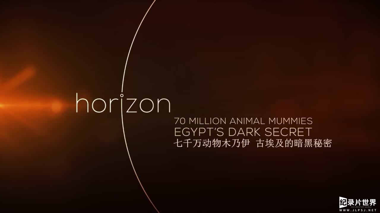 BBC地平线系列《七千万动物木乃伊 古埃及的暗黑秘密 70 Million Animal Mummies–Egypt’s Dark Secret 2015》英语内嵌中英双字幕01