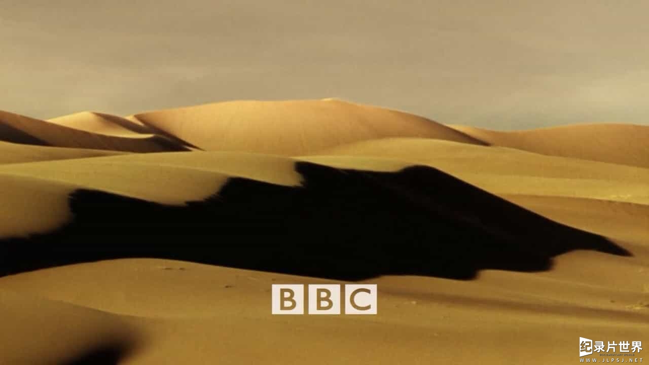 BBC地平线系列《七千万动物木乃伊 古埃及的暗黑秘密 70 Million Animal Mummies–Egypt’s Dark Secret 2015》英语内嵌中英双字幕06