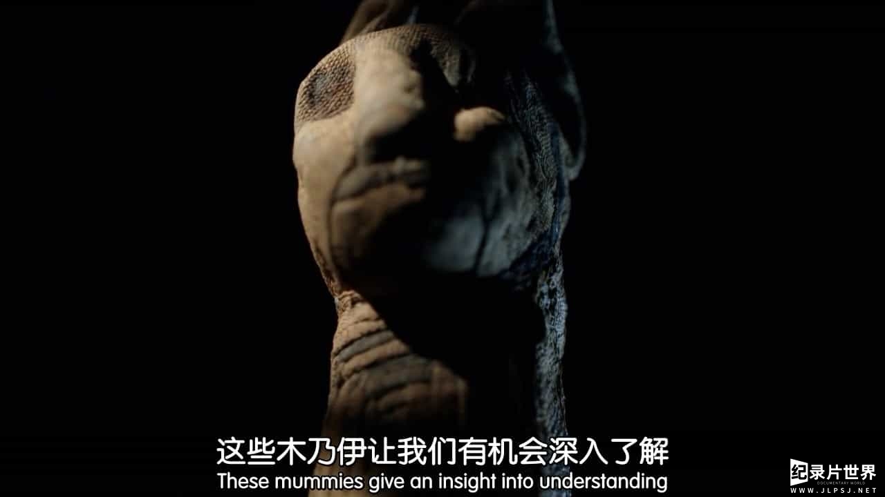 BBC地平线系列《七千万动物木乃伊 古埃及的暗黑秘密 70 Million Animal Mummies–Egypt’s Dark Secret 2015》英语内嵌中英双字幕04