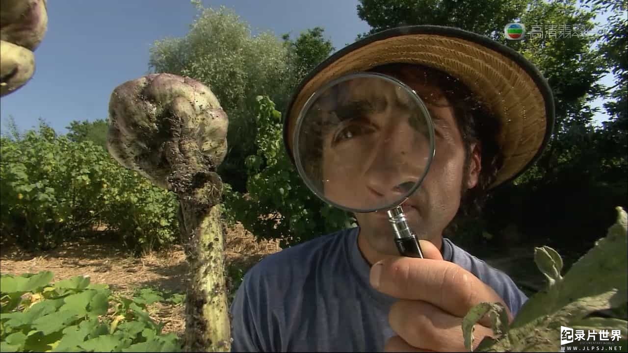 法国纪录片《菜园里的战争与和平/菜虫战记 War And Peace In The Kitchen Garden 2006》粤英双语中字02